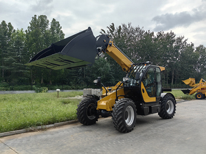 Tonlita chino directamente proveedor diésel hidráulico pequeño telescópico Boom Truck 3Ton telescópico carretilla elevadora - Product Image 3