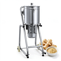 Mixeur Commercial Grande Capacité 20L 30L en Acier Inoxydable pour Aliments Secs/Humides, Sauce Pimentée, Purée de Gingembre