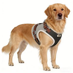 <span class=keywords><strong>Harness</strong></span> Anjing Anti-Tersedak Terbaik - Tanpa Tarikan, Nyaman, Rompi Jalan-Jalan Mudah Semua Ukuran - Product Image 1