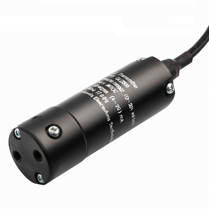 Capteur de niveau de pompe à eau GLT500 4-20ma 12vDc Capteur de niveau de liquide submersible diesel - Product Image 4