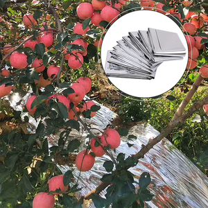 <span class=keywords><strong>Film</strong></span> de paillage métallisé réfléchissant en PE durable pour arbres fruitiers, fourni par l'usine - Product Image 1