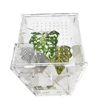 Plateforme d'escalade à ventouse renforcée pour reptiles, crabes ermites, poissons betta, tortues, monstera, gecko, araignées sauteuses