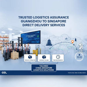 通过天亮海运运送设备和特殊货物的紧急新加坡项目空运，2天内可购买保险 - Product Image 6