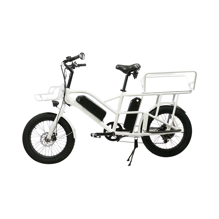 Uzun pil ömrü ile iki set elektrikli kargo bisikleti ağır yükleme elektrikli bisiklet yetişkin enduro ebike