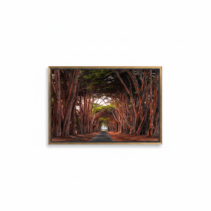 Printed Canvas: Cypress Tree Tunnel Art - Coastal California View,<b>GOLD</b> <b>FRAMED</b> CANVAS - Product Image 2