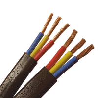 Câble en cuivre de puits de fil plat utilisé pour les pompes submersibles 250mcm 350mcm 500mcm 600v pompe à eau câble à eau submersible électrique