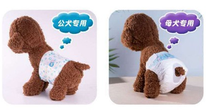 Dezhu haute durabilité coton chiens couches <span class=keywords><strong>animaux</strong></span> de compagnie fournitures de formation couche souple <span class=keywords><strong>produits</strong></span> pour <span class=keywords><strong>animaux</strong></span> de compagnie petits <span class=keywords><strong>animaux</strong></span> couche jetable pour <span class=keywords><strong>animaux</strong></span> de compagnie - Product Image 3