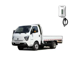 A pure electric light truck from China with a pure electric range of 230 kilometers and a load capacity of three tons