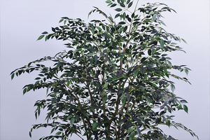 ต้นไม้ประดิษฐ์ตกแต่งบ้าน ต้นบอนไซหรูหรา ต้นไม้ใบฟิกัสขนาดเล็ก 280 ซม. ต้นไม้ประดิษฐ์สำหรับตกแต่งร้านกาแฟ โรงแรม คลับ - Product Image 6