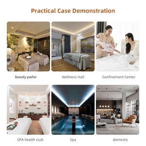 Dôme de sauna de luxe OEM au prix d'usine, capsule de spa pour la maison - Product Image 6