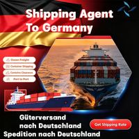 Agente de Transporte Marítimo en Alemania, Puerto de Bremerhaven, Transporte Aéreo, Costo de Transporte por Camión, Servicio de Almacenamiento