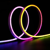 Bande LED Ambiante RGB à Émission Latérale, Néon Flexible en PVC, Étanche IP65, DC24V, 2835, 96 LED, 8W/m, Coupable à 62,5mm, OEM, CE, RoHS