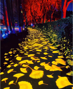 Projecteur interactif extérieur IP65 pour parcs urbains, événements communautaires et rassemblements festifs - Product Image 1