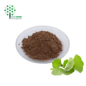 Tinh Khiết Tự Nhiên Ginkgo Biloba Lá Chiết Xuất Ginkgo Flavone Glycosides 24% Terpene Lactone 6%