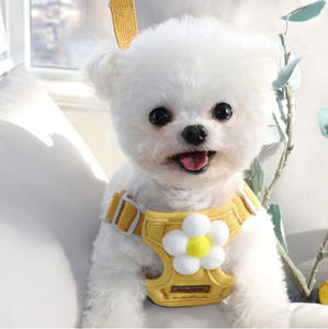 <span class=keywords><strong>Harness</strong></span> Anjing Lucu Model Teddy Grosir Tali <span class=keywords><strong>Harness</strong></span> Anjing Rompi Anjing Laris Manis <span class=keywords><strong>Harness</strong></span> Hewan Peliharaan - Product Image 6