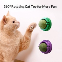 Balle multifonctionnelle rotative pour le nettoyage des dents molaires, à la menthe et à la catnip, jouet pour chat en forme d'avocat