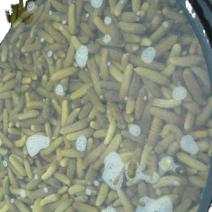 Légumes marinés dans une solution de vinaigre Concombres conservés dans de l'acide acétique - Product Image 1