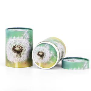 Tùy chỉnh vật nuôi con người quan tài hỏa Táng tro urns cây sinh học giấy quan tài các tông tán xạ ống cho nước buria bao bì hộp - Product Image 6