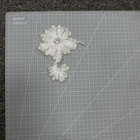 Une paire de patchs en tissu maillé, appliques 3D brodées de perles et de fleurs pour robes, costumes de spectacle, accessoires Hanfu