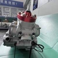 Moteur de moto KTM300 300cc 2 temps refroidi par eau, couple élevé 43N.m, 36kW, 6 vitesses, double démarrage pour moto tout-terrain