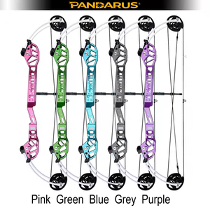 Arc à poulies Pandarus Archery Cretaceous34, nouvelle arrivée, réglable, petit cam 30-45lbs, sûr et durable, précision garantie. - Product Image 2