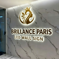Enseigne rétroéclairée LED en bronze antique, lettres 3D personnalisées en acier inoxydable, panneau mural en métal pour logo, enseigne de magasin, façade de bâtiment commercial