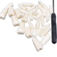 Nissin Frasaco Typodont Individuel 32 pièces, dents à visser de remplacement, modèle anatomique en PVC, outil de pratique scientifique médicale M8022