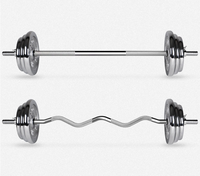 Plaques de musculation argentées 20 kg, revêtement caoutchouc, fonte durable, antidérapantes, usage commercial, équipement de fitness pour salle de sport, vente chaude