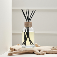 Diffuseur de parfum plat à roseaux, flacon vide, pierre aromatique, nouvelle arrivée, adorable petite lune, huile parfumée pour la tête, Innovation Vodka