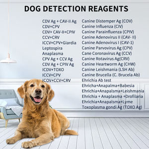 GooDoctor Factory Outlet Uso en el hogar Felino Canino <span class=keywords><strong>Salmonella</strong></span> Antígeno Kit de prueba rápida para perros y gatos - Product Image 6