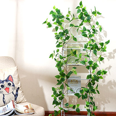 แถบใบไม้เลื้อยแบบมีลวด