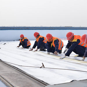 Materiali in poliestere blu moderno in <span class=keywords><strong>materiale</strong></span> polimerico <span class=keywords><strong>PVDF</strong></span> resistente all'usura a lunga durata - Product Image 3