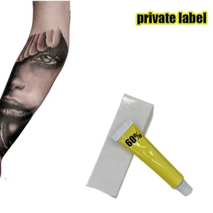 New Trend 2025 Tattoo White Cream Combo - <b>Paint</b> <b>Set</b>, Eyebrow Dye, Piercing Tools OEM/ODM Solutions - Product Image 4