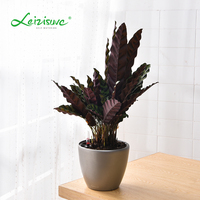 Pot pour plantes décoratives de forme ronde, vente directe d'usine, arrosage automatique d'intérieur