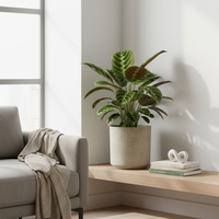 Pots de plantes ronds de haute qualité, robustes, en gypse texturé, grands pots de jardin d'extérieur en plastique pour arbres, décoration de la maison