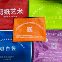 Carpeta A4 colorida, archivos transparentes para bolsa de documentos, carpetas de archivos de plástico, logotipo personalizado, bolsa de malla para documentos de oficina de negocios