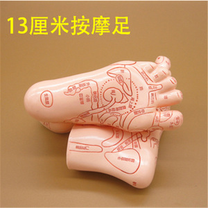Wei Ye <b>Massage</b> Foot Model 19cm Soft Acupressure Reflexology Training <b>Tool</b> - Product Image 2
