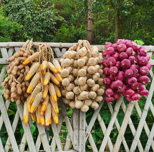 Lanière en plastique avec pendentifs <span class=keywords><strong>d</strong></span>écoratifs en forme de légumes artificiels (<span class=keywords><strong>ail</strong></span>, poivre, cacahuète) - Product Image 3