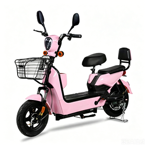 Mass Production Cheap Price Shockproof Comfort Backrest High Bright LED Headlight Anti Rust Metal Basket City Use E-Bike LY-S25 - Product Image 6