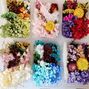 Hot Sale getrockneter Blumenstrauß Geschenk getrocknete Blumen und Pflanzen getrocknete Blumenstrauß Blumen getrocknete DIY Trocken blumen für Kerze handgemachtes Geschenk