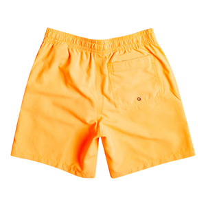 Pantalones cortos de baño para niños, ropa de baño personalizada para niños, ropa de playa, pantalones cortos bóxer para niños, bañadores, pantalones cortos para nadar, Playa - Product Image 6