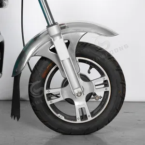 2024 Preço de atacado 350 W 36 V Bicicleta elétrica de carga 3 rodas Bicicleta de entrega Bicicleta elétrica de carga Trike para uso familiar