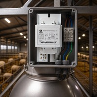Ballast HPS 70W à fil de cuivre magnétique AC 220V 50Hz 0.98A pour lampe au sodium haute pression