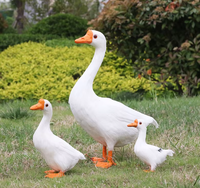 Modèle d'animal statique en tissu peluche, imitation plumes de canard, poulet ou oie, grand, blanc, pour décoration de jardin pastoral et photographie