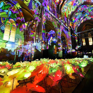 ไฟวันหยุดใหญ่โคมไฟ<span class=keywords><strong>สวน</strong></span>สัตว์กลางแจ้งแสดงผลสวนพฤกษศาสตร์ไฟวันหยุดผู้ผลิตออกแบบได้ตามต้องการ - Product Image 2