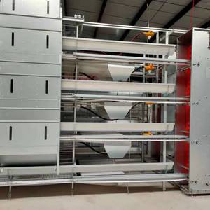 Sistema de Jaulas de Gran Escala Personalizado - Alojamiento de Pollos Tipo H Totalmente Automático para Granjas Comerciales de <span class=keywords><strong>Huevos</strong></span> - Product Image 5