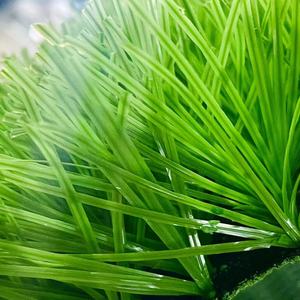 SD Venta caliente 50mm <span class=keywords><strong>Premium</strong></span> Césped <span class=keywords><strong>artificial</strong></span> a prueba de agua Mejor <span class=keywords><strong>precio</strong></span> para campo deportivo de fútbol profesional Muestra gratis disponible - Product Image 3