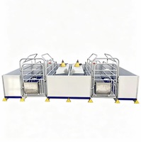 Cage de maternité pour truies de style européen, galvanisée à chaud, simple ou double position, équipement d'élevage porcin personnalisable