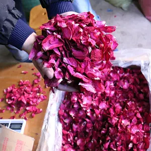 Petalo secco naturale rosa rossa coriandoli petali di fiori di rosa essiccati bianchi per la decorazione di nozze da bagno