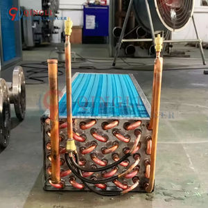 เครื่องระเหยน้ำกรดออกซาลิกแบบแนวตั้งสำหรับน้ำมัน12โวลต์ - Product Image 2